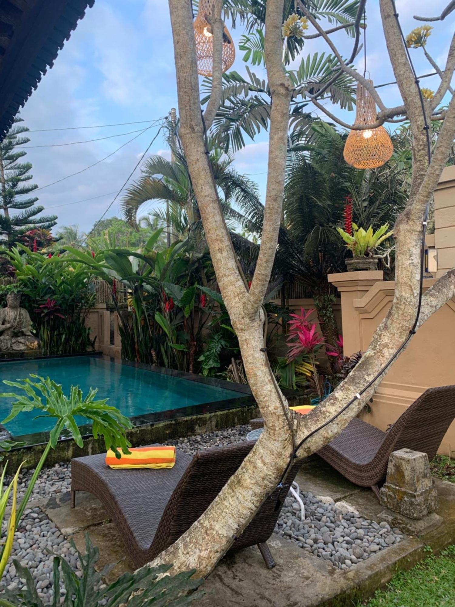 Villa Mangku in Ricefield Ubud Buitenkant foto